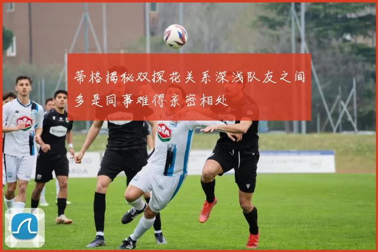 蒂格揭秘双探花关系深浅队友之间多是同事难得亲密相处