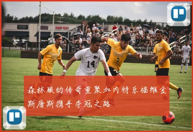森林狼的传奇重聚加内特乐福维金斯唐斯携手夺冠之路