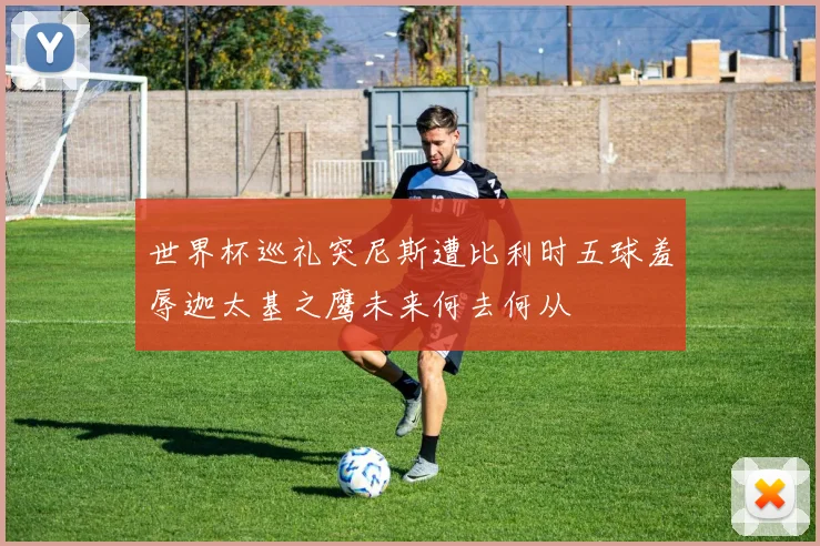 世界杯巡礼突尼斯遭比利时五球羞辱迦太基之鹰未来何去何从