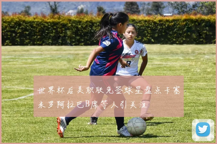 世界杯后美职联免签球星盘点卡塞米罗阿拉巴B席等人引关注